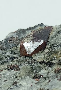 Zircón en Flogopita