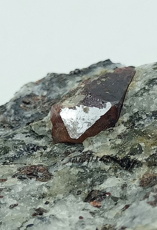 Zircón en Flogopita