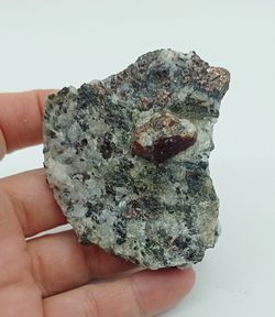 Zircón en Flogopita